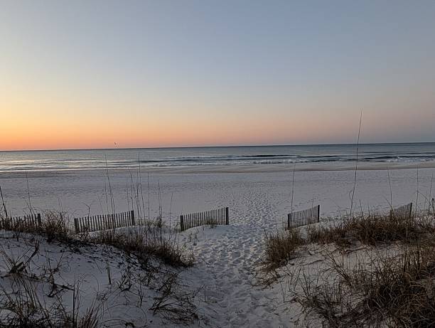 istock Early Morning Sun on a Beach 2216544926