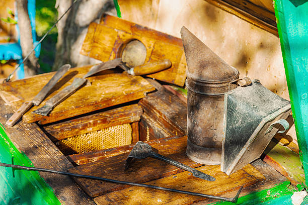 Traditional beekeeping tools, highlighting sustainable beekeeping and efforts to protect bee populations from climate change and global warming