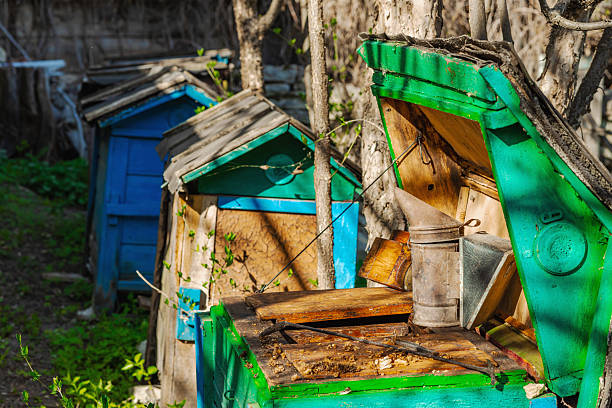 istock Traditional beekeeping tools, highlighting sustainable beekeeping and efforts to protect bee populations from climate change and global warming 2216545724