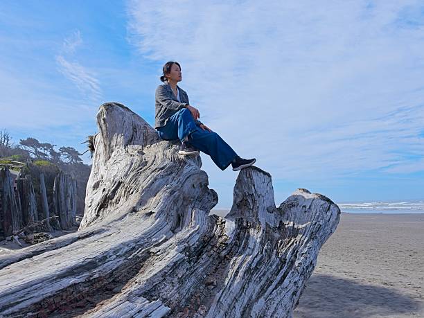 istock Woman sits on large driftwood at the beach. 2216546486