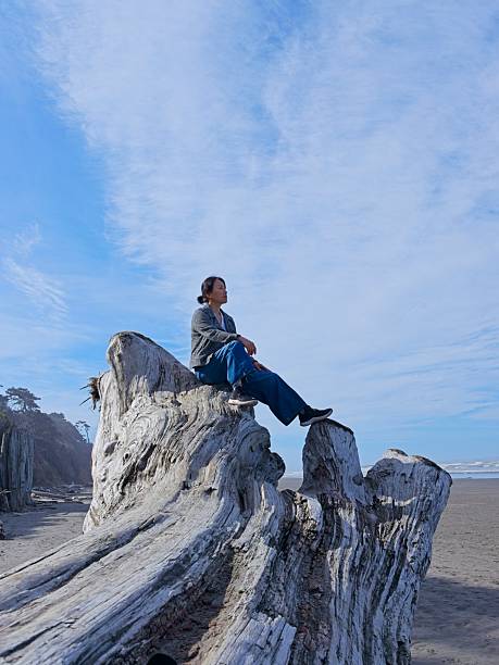 istock Woman relaxing on driftwood at the beach. 2216546488