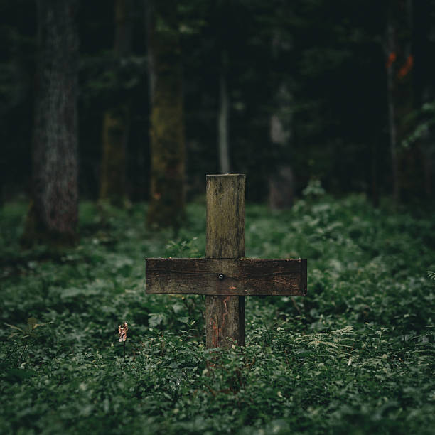 An old weathered wooden cross standing among dense greenery in a quiet forest. The atmosphere is moody and somber, suggesting themes of memory, history, or loss.