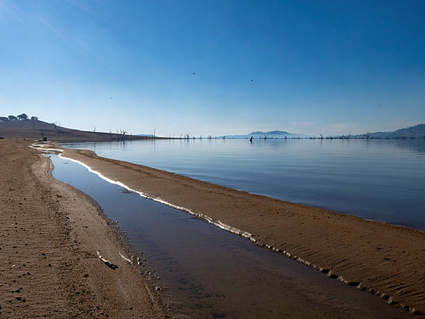 The late afternoon sun on the dead trees and red dirt exposed by very low lake levels at Lake Hume - VIC