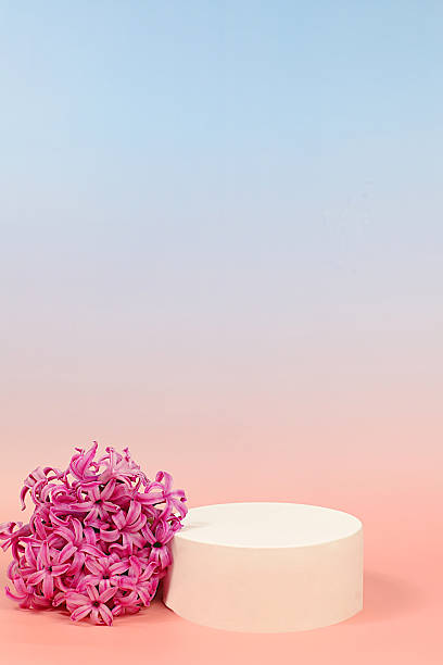 istock Creative template for your design.Empty product podium and spring flowers.Abstract flower arrangement with hyacinths, banner.Minimal modern aesthetics,elegant beauty concept 2216559953