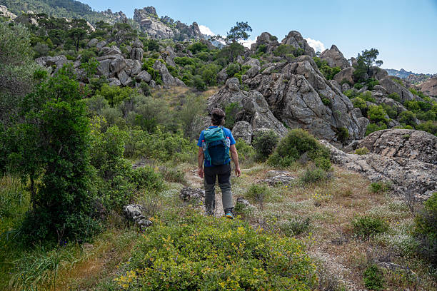 istock A backpacker is walking along the Carian Trail, weaving through the rugged Latmos Mountains and the ancient ruins of Heraclea, surrounded by timeless landscapes and echoes of Carian history. 2216561451