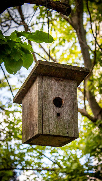 istock Cute Little birdhouse 2216564437