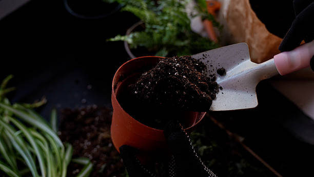 istock Gardener putting fresh plant potting mix into an empty flowerpot 2216564735