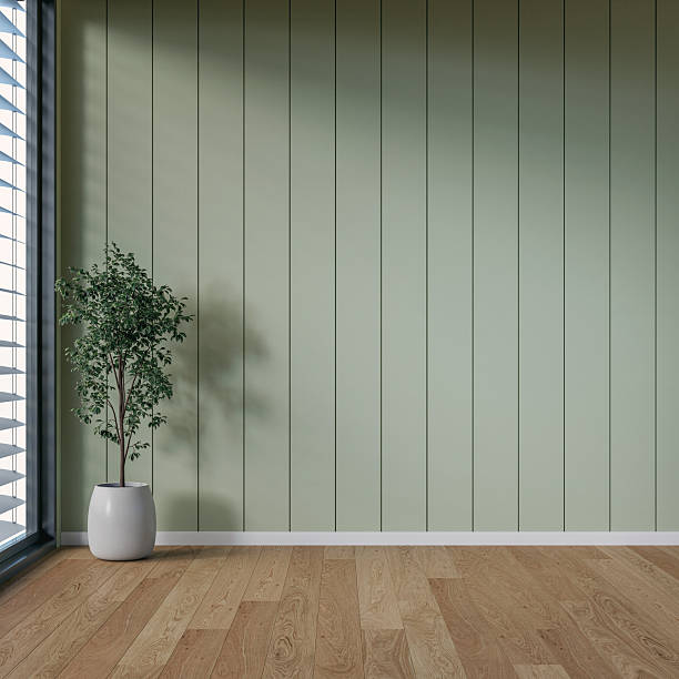istock A minimalistic, unfurnished interior with a potted plant in front of an empty soft green paneled accent wall background with copy space, and a window 2216572420