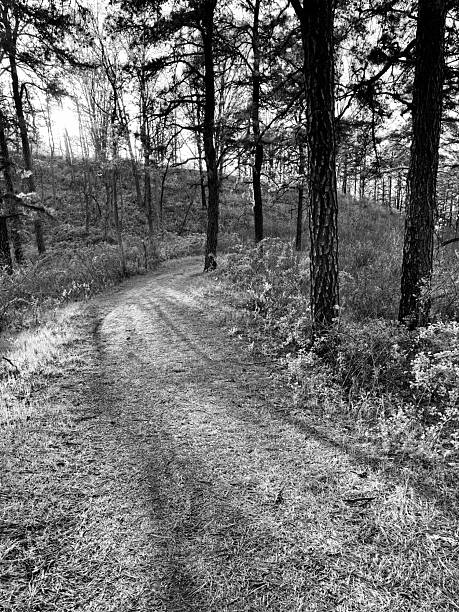 Country Road