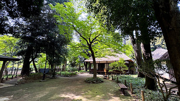 istock Roka Kosyuen Park, Tokyo, Japan 2216589510