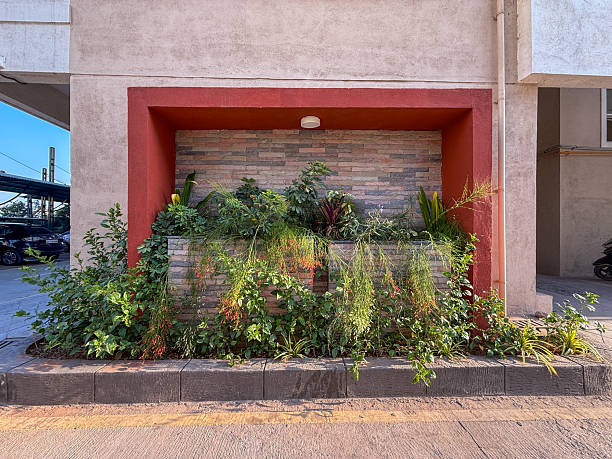 A wall with a plant growing out of it. The plant is green and has a few leaves