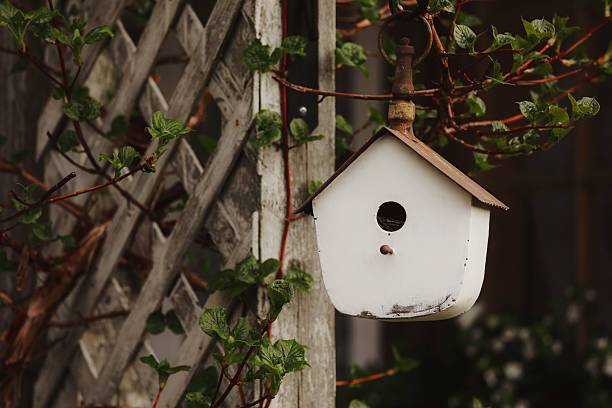 A birdhouse in a garden. Shot with a Canon 5D Mark IV.