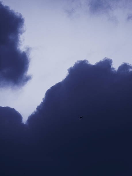 A dark, moody sky with clouds and a lone bird, evoking solitude and introspection. Perfect for weather, nature, or contemplative themes