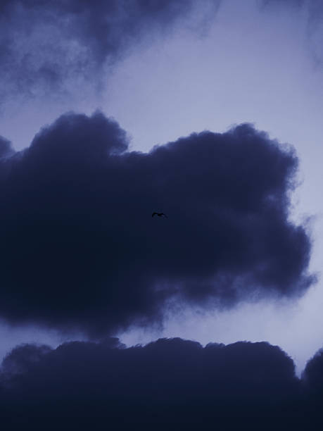 istock A dark, moody sky with clouds and a lone bird, evoking solitude and introspection. Perfect for weather, nature, or contemplative themes 2216591773