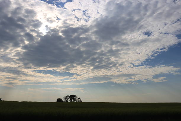 Back roads in Saskatchewan with old trucks, marshes, barns and sunshine.
