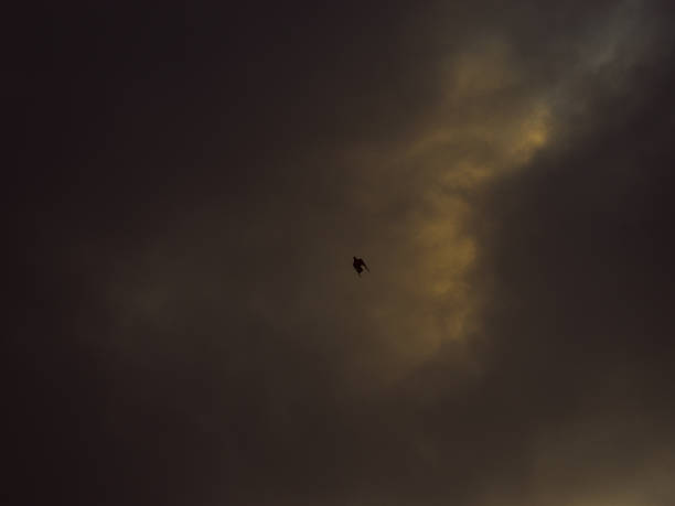 A dark, moody sky with clouds and a lone bird, evoking solitude and introspection. Perfect for weather, nature, or contemplative themes.