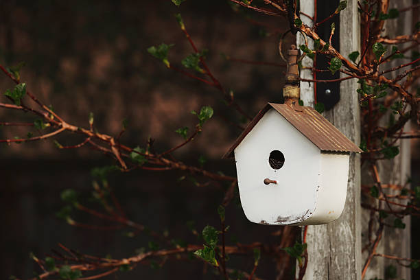 A birdhouse in a garden. Shot with a Canon 5D Mark IV.