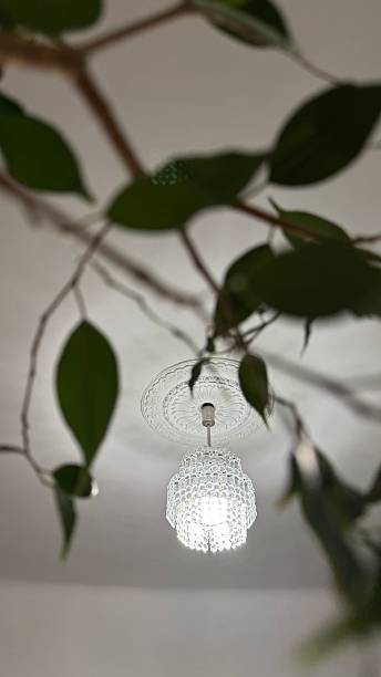 istock Crystal Pendant Light with Green Plant Shadows on White Wall 2216594196