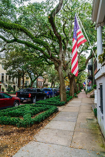 istock Residential street in Savannah 2216595385