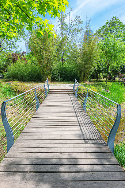 istock Boardwalk in the city park 2216597856