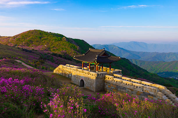 azaleas and morning scenery of Hwangmae Mountain