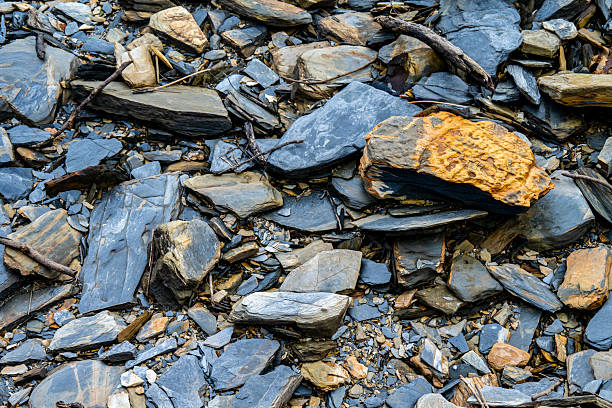 Multi coloured slate rocks by the water on the NSW Coast