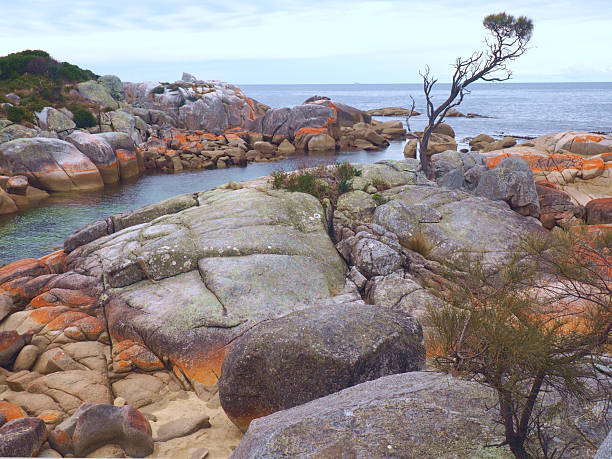 istock Bay of Fires 1 2216604473
