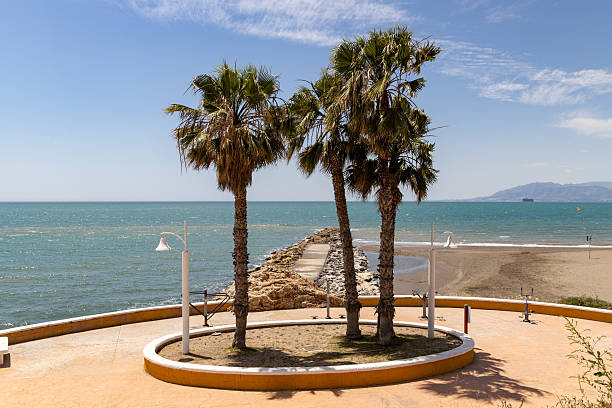 istock Palm trees stand on a circular platform overlooking the tranquil sea, with a rocky jetty extending into the water, creating a serene coastal scene 2216610979