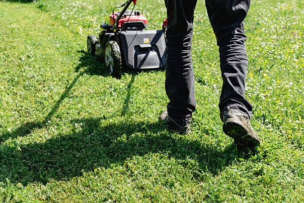 istock Mowing the lawn with a machine in a garden 2216613364