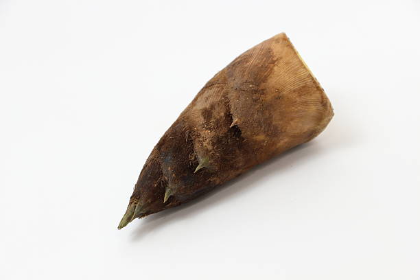 istock Gift of the Earth, Powerfully Grown Bamboo Shoot 2216615752