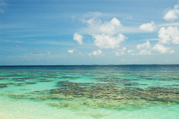 Tropical ocean view with clear water and cloudy sky.