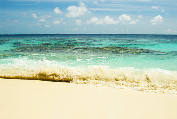 Tropical beach with gentle waves and clear blue sky.