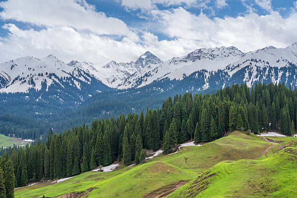 istock Pristine forest and snow mountains in Kuerdening scenic area 2216621148