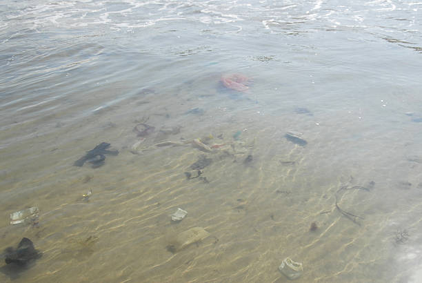 New year celebration aftermath: ocean pollution on bali shore.