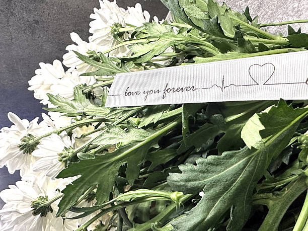 istock White chrysanthemums with heartbeat ribbon symbolizing everlasting love and devotion 2216622440