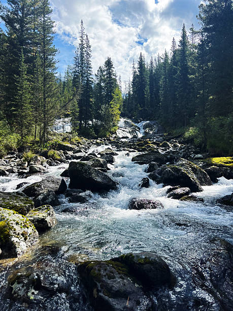istock Serene mountain stream flowing through lush green forest under sunny blue sky 2216624470
