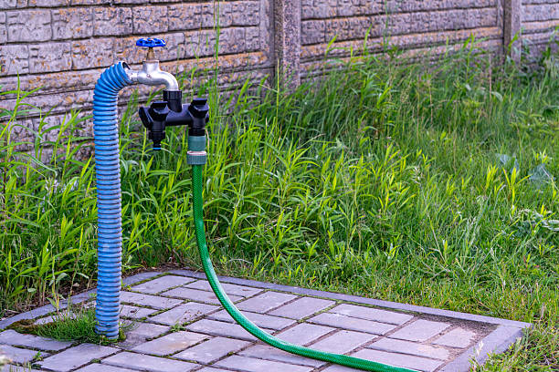 Asian senior woman watering a tree at home.