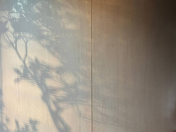 istock Shadow of Tree on Wooden Wall 2216626988