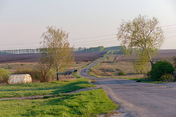 Dutch countryside road with trees, windmills, and the sky with sheep clouds