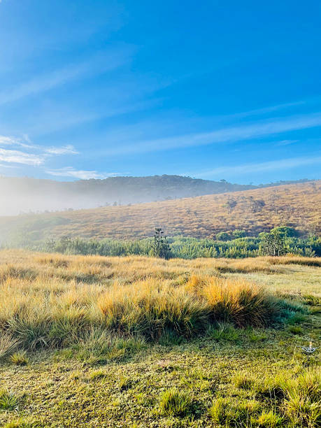 istock Golden Dawn on the Rolling Hills 2216636595