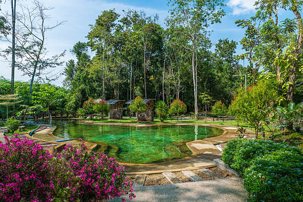 istock Natural hot spring pool in Krabi, Thailand 2216636785
