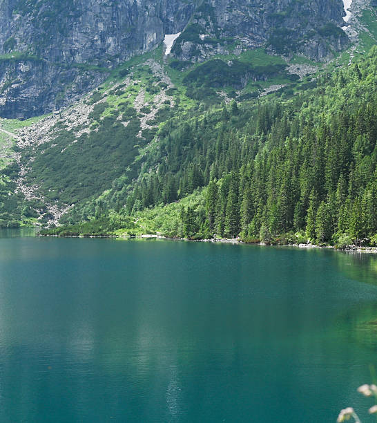 Lush summer forest meets mountains and water under soft sunlight. Quiet valley radiates harmony, warmth, and fresh outdoor energy. beautiful lake in the mountains, sea eye, Poland, Zakopane