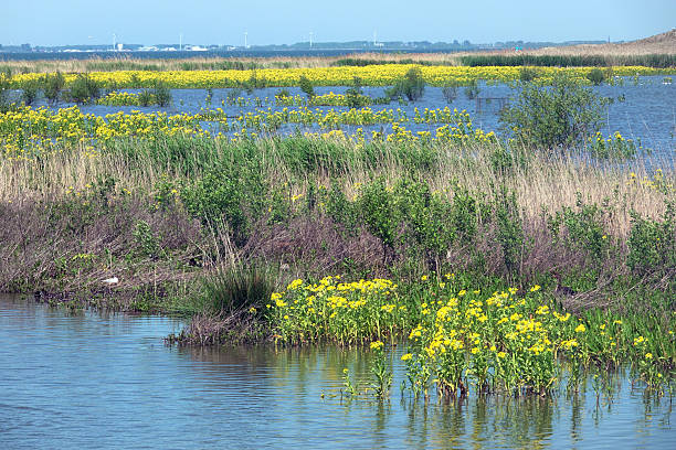 istock N.P.  new archipelago Marker Wadden 2216637824