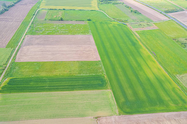 istock various crops and plowed earth patterns drone down view. Background for agriculture concept 2216642053