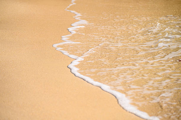 The ocean waves are crashing onto the shore, leaving a trail of footprints in the sand. The scene is serene and peaceful, with the sound of the waves providing a calming atmosphere