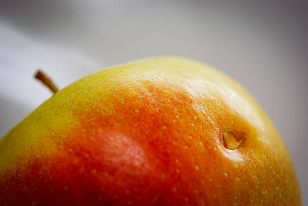 Close up of an apple with a visible wormhole. Symbol of imperfection, natural decay, and organic reality. often used in education, food waste or metaphorical concepts