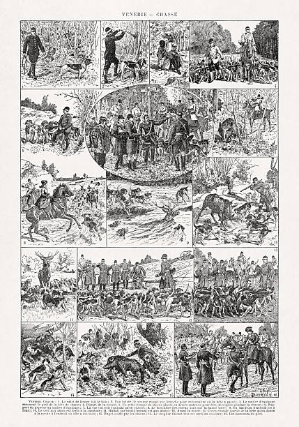 Illustration by Louis Bombled printed in a late 19th-century French dictionary on hunting with hounds.