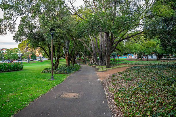 istock Paved Footpath Surrounded by Lush Greenery and Majestic Trees in Hyde Park, Perth, Australia, 12 April 2020 2216659400