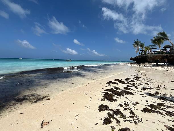 istock Tanzania - Zanzibar - Nungwi- beach 2216670129