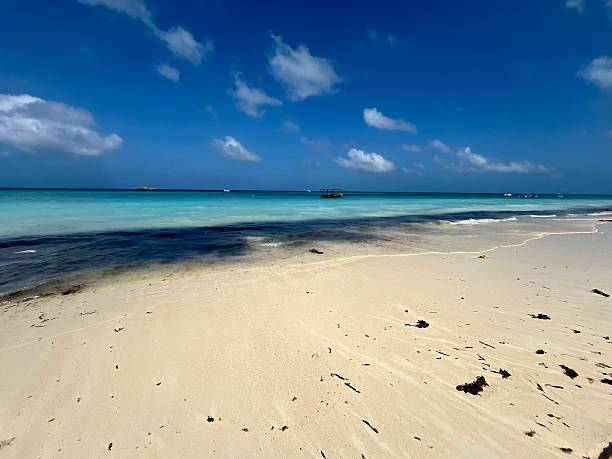 Panoramic view of a beach in Zanzibar during low tide 